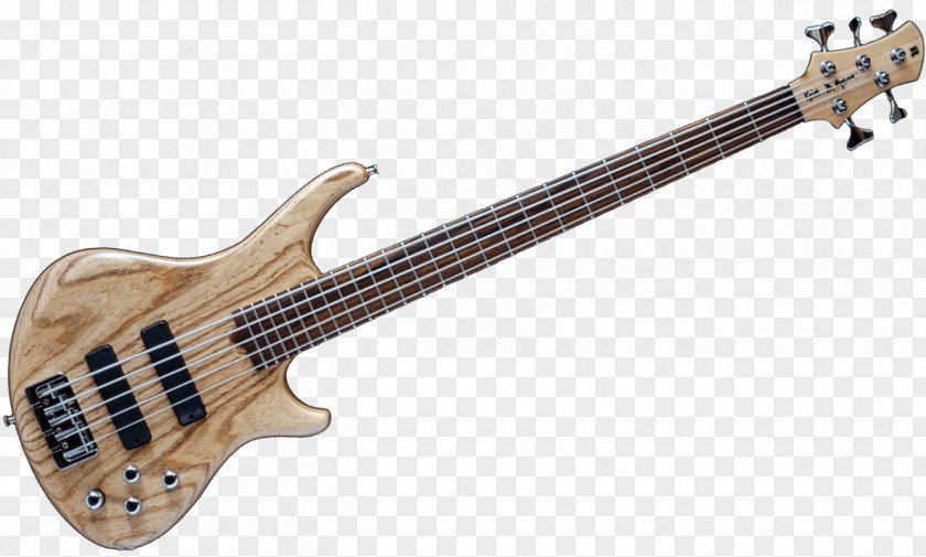 Bass Guitar Ibanez String Instruments Musical PNG