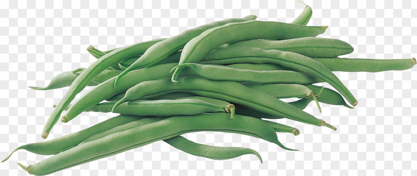 Black Beans Common Bean Green Pea Legume Vegetable PNG