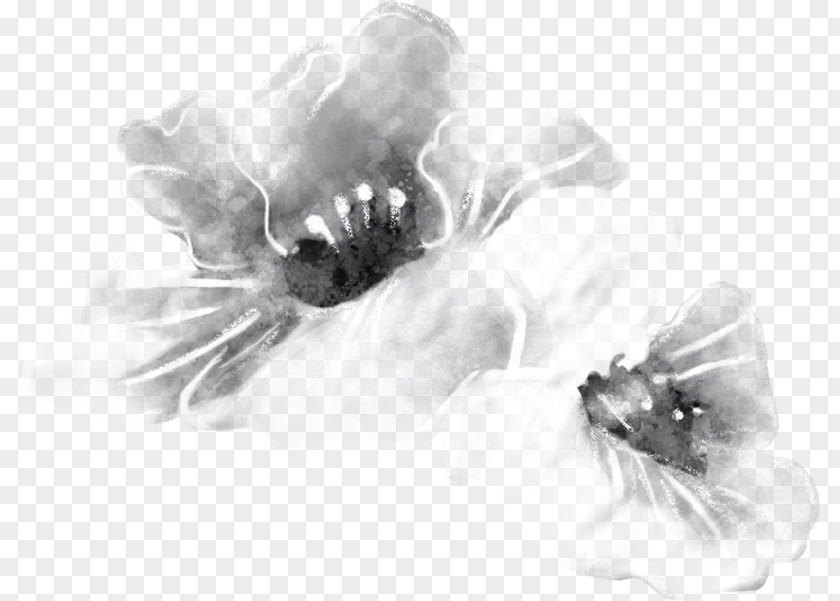 Computer Petal Desktop Wallpaper Cut Flowers White PNG