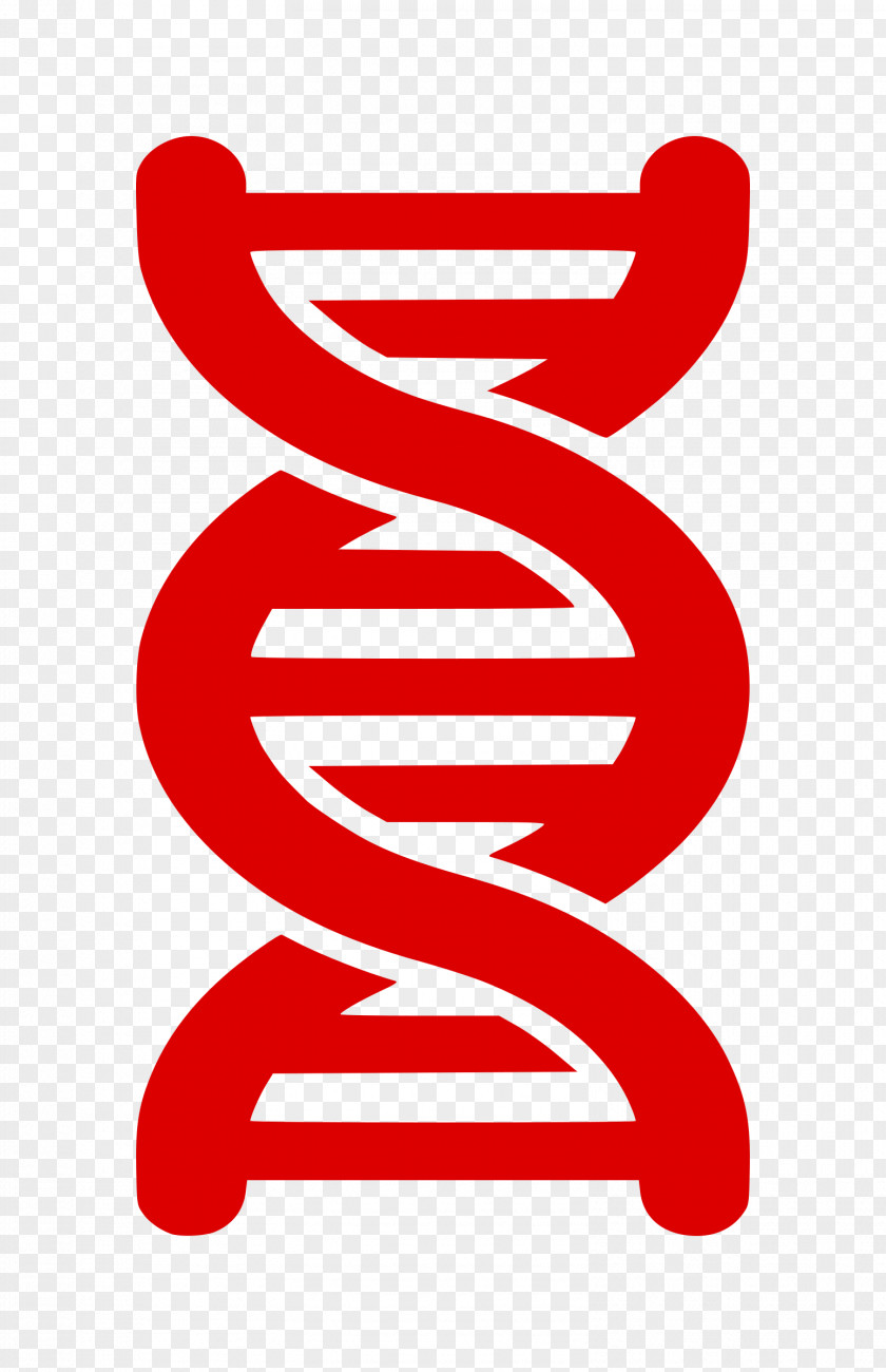 DNA Nucleic Acid Double Helix Black And White Clip Art PNG