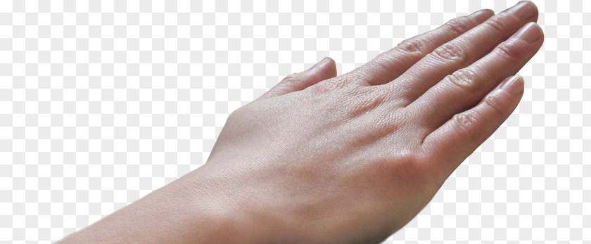 Hands Touching Biometrics Thumb Fingerprint Technology Hand PNG