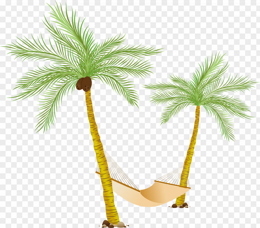 Palm Tree Hammock Arecaceae Clip Art PNG