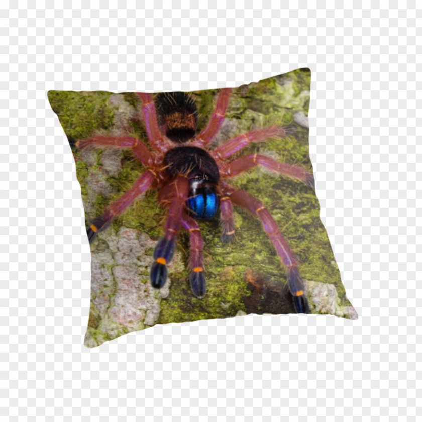 Pillow Throw Pillows Cushion Insect PNG