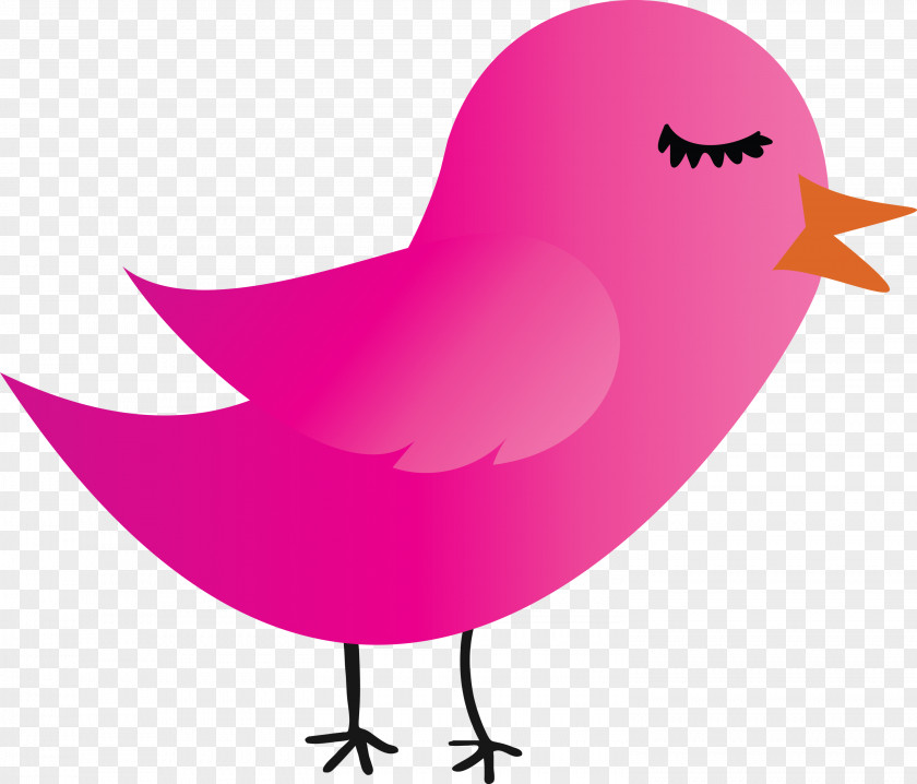 Pink Bird Cartoon Beak Water PNG
