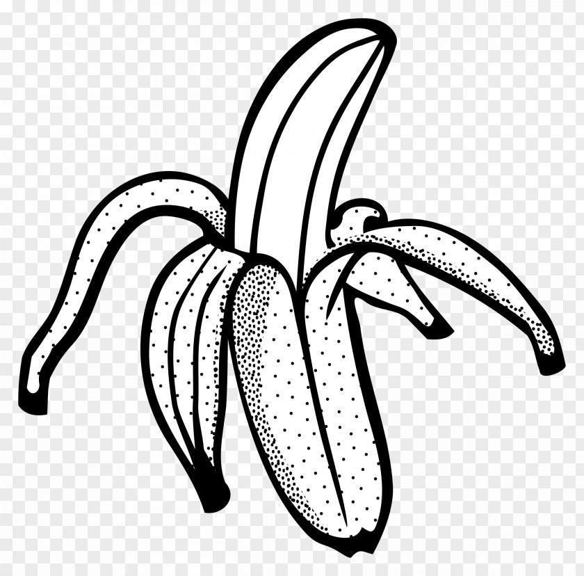 Banana Leaves Bread Line Art Drawing Clip PNG