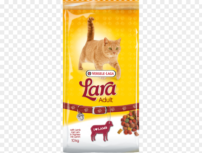 Cat Food Pet Kitten PNG