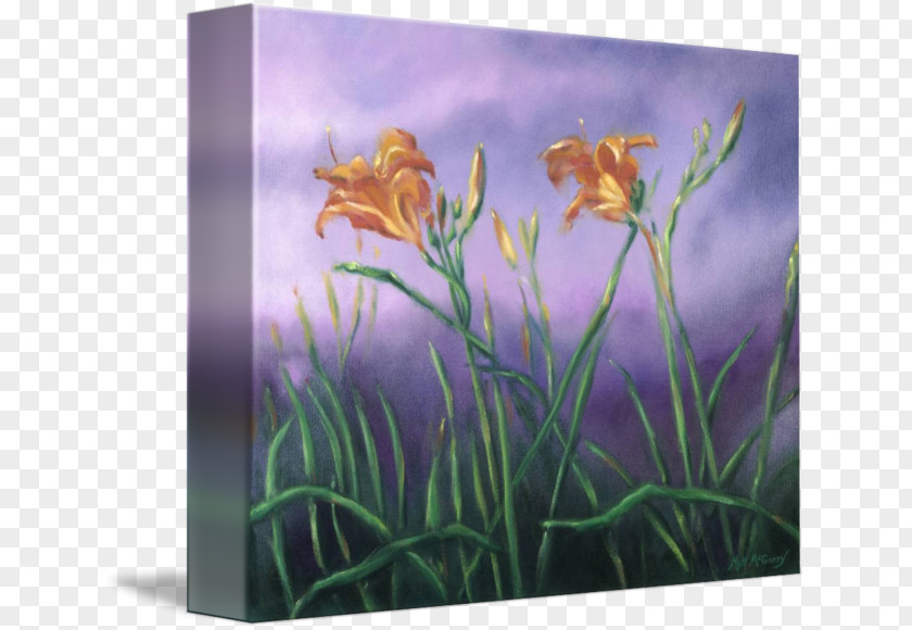 Lily Orange Gallery Wrap Canvas Art Printmaking PNG