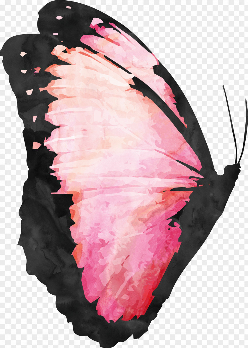 Butterfly Watercolor Painting PNG