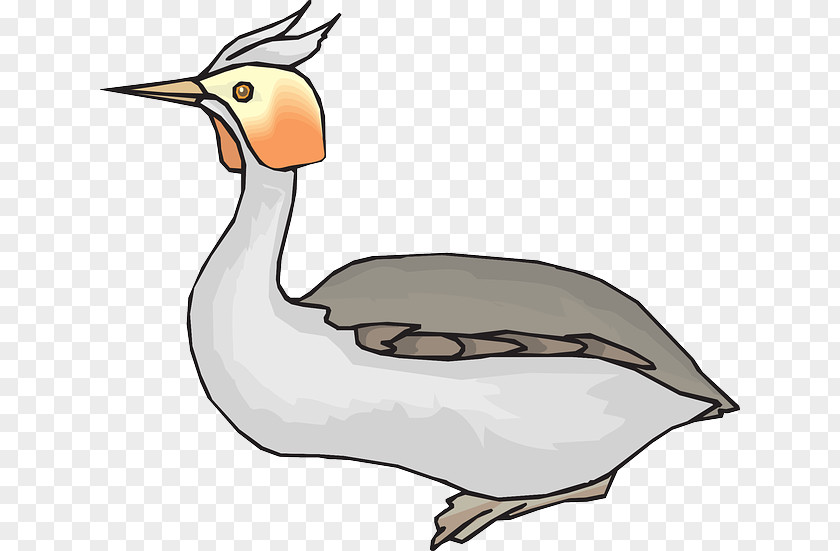Duck Bird Goose Woodpecker Clip Art PNG