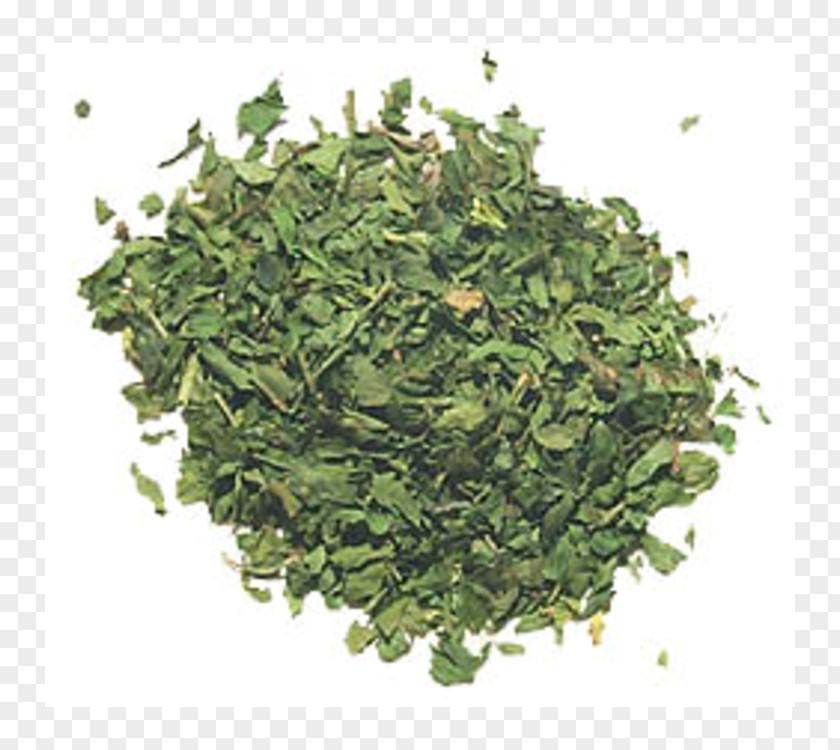 Green Tea Matcha Gyokuro Biluochun PNG