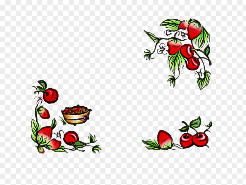 Holly Plant Strawberry PNG