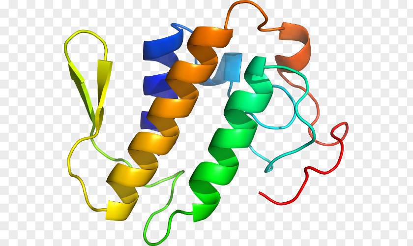 Phospholipase A2 Organism Work Of Art Clip PNG