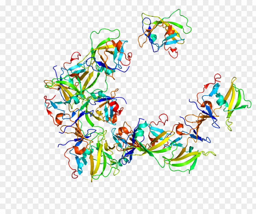 RIG-I-like Receptor Helicase LGP2 MDA5 PNG