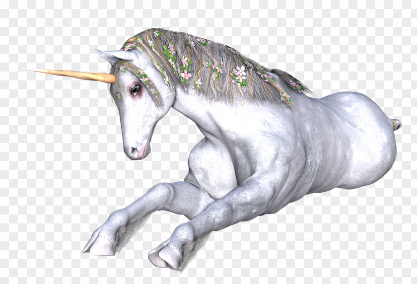 Unicorn Fairy Tale Horse Drawing Rhyme PNG