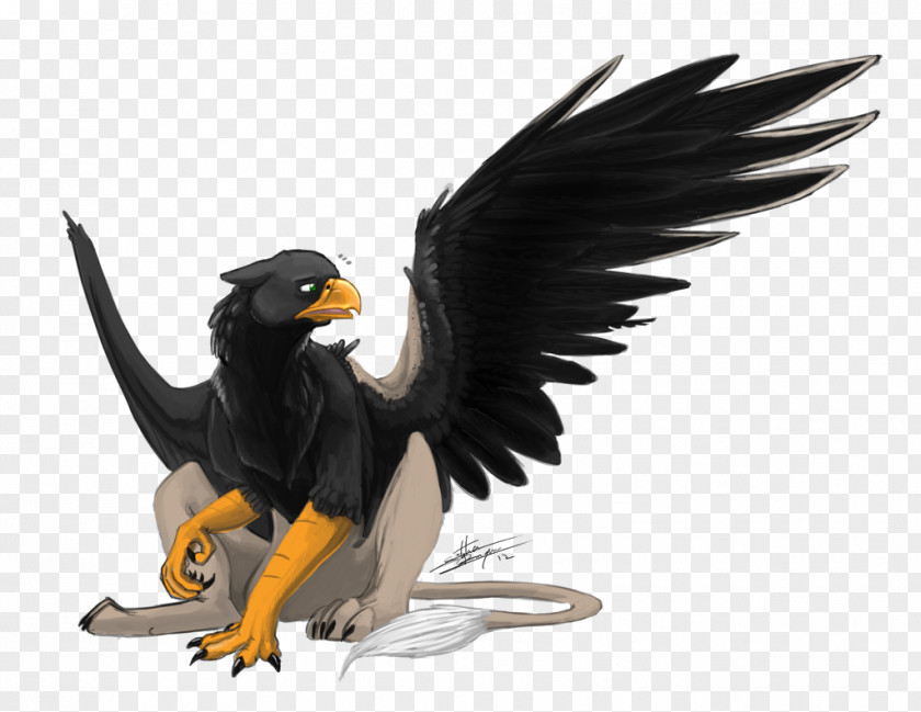 Centerblog Griffon Drawing PNG