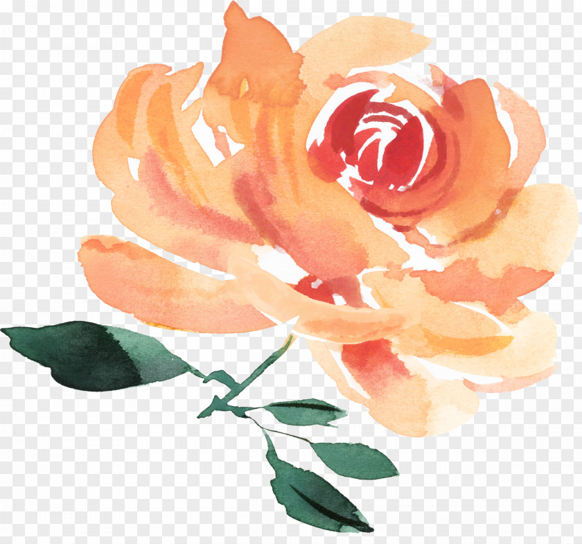 Flower Garden Roses IPhone 8 X Floral Design PNG