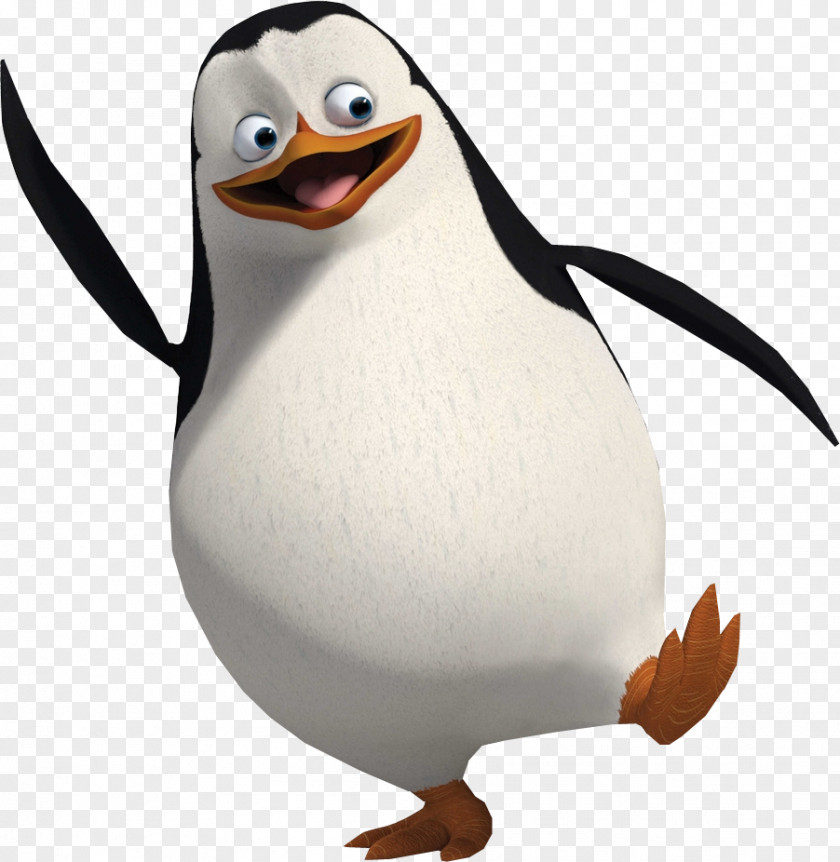 Madagascar Penguins Skipper Alex Film Animation PNG