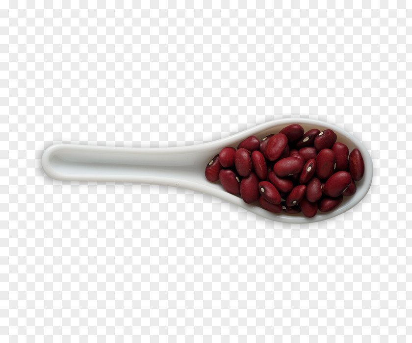 Pea Adzuki Bean Baked Beans Kidney Legume PNG