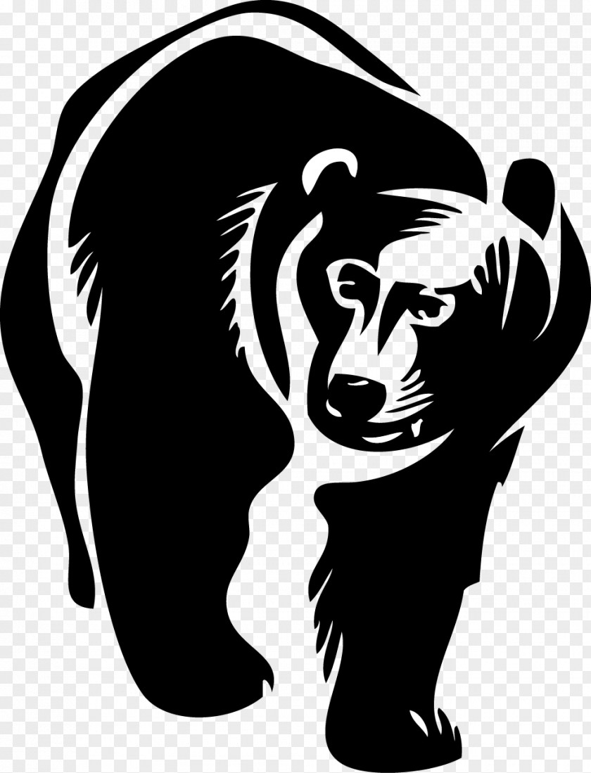 Studies Bear Mammal Carnivora Clip Art PNG