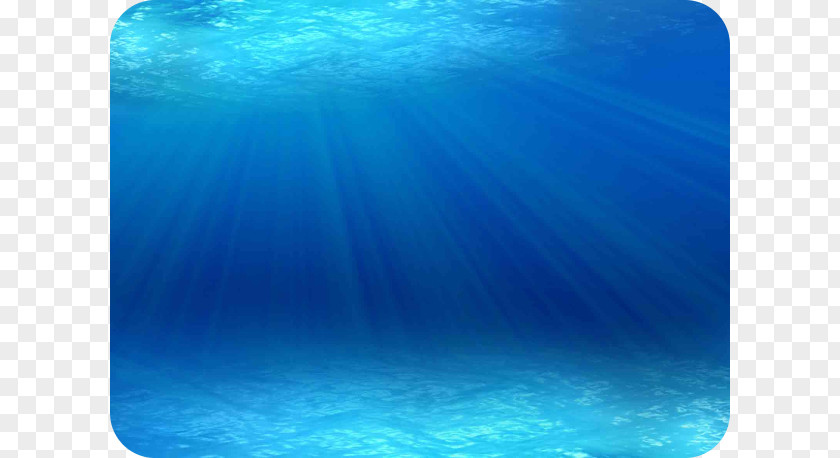 Under The Sea Background Ocean Marine Mammal Biology Underwater Animal PNG