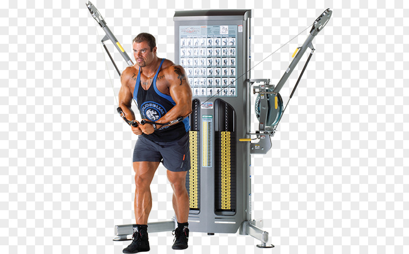 Weightlifting Machine Sport Fitness Centre Physical PNG