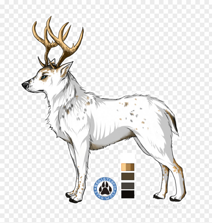 Reindeer Elk Musk Deers Antler PNG