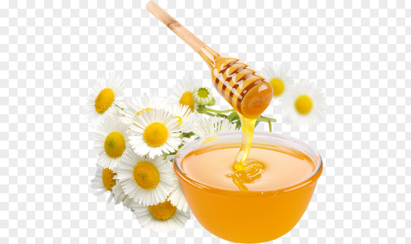 Bee Smoothie Honey Eating Food PNG