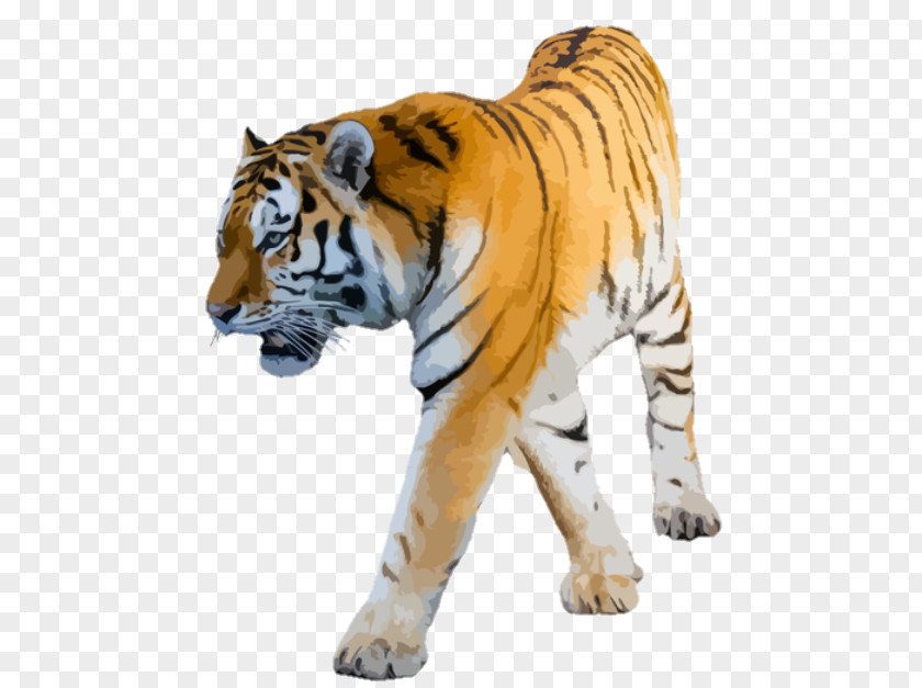 Lion Clip Art Felidae Bengal Tiger Cat PNG