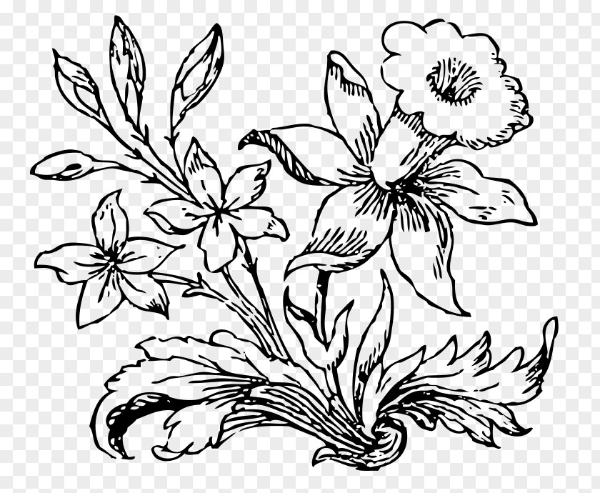 Little Flower Drawing Clip Art PNG