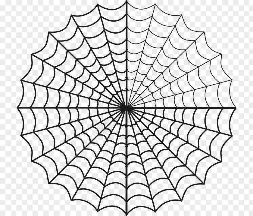 Spider-man Spider-Man Coloring Book Spider Web Colouring Pages PNG