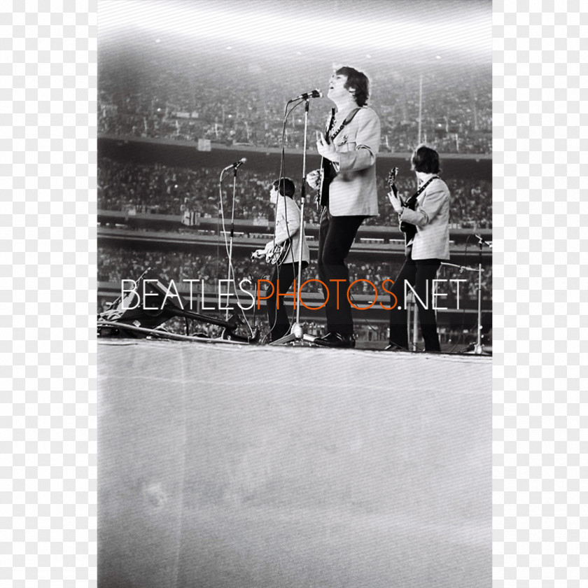 Stadium Audience Shea The Beatles' 1965 US Tour Concert PNG
