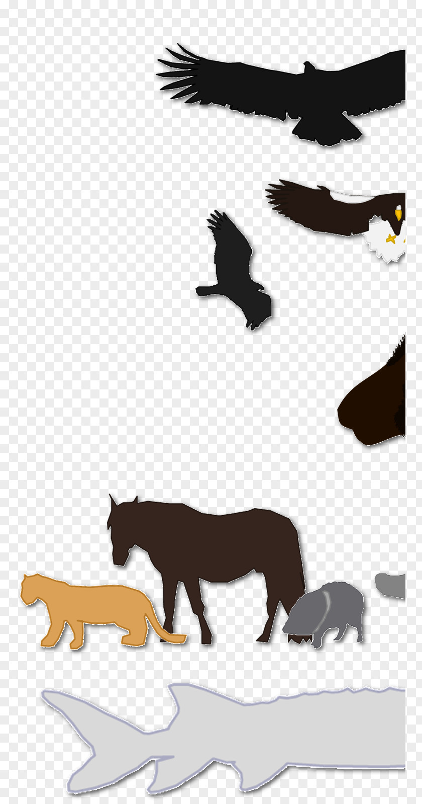 Juvenile Golden Eagle Vs Bald Canidae Mustang Digital Art Zoo Tycoon 2 Dog PNG