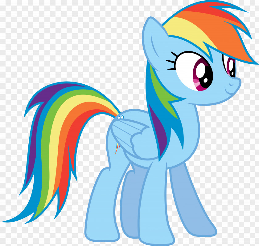 Wut Rainbow Dash Pinkie Pie Fluttershy Pony Rarity PNG