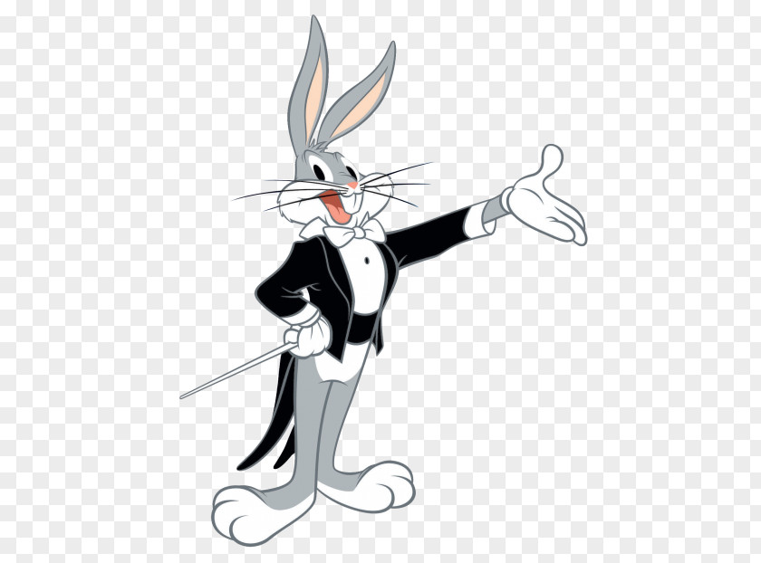 Bugs Bunny Daffy Duck Rabbit Cartoon PNG