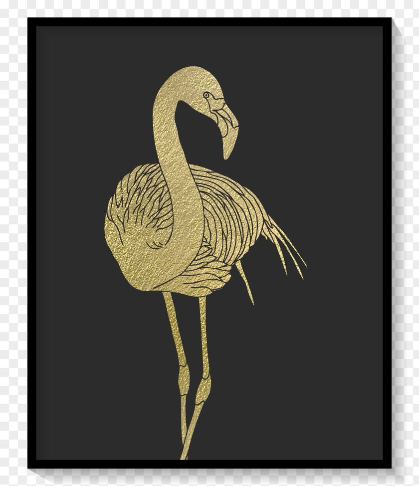 Flamingos Drawing Desktop Wallpaper Art Photography PNG