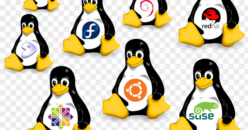 Linux Distribution Operating Systems Open-source Software Computer PNG