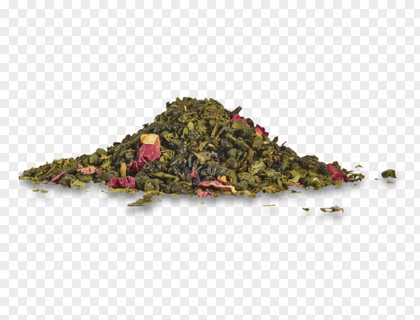 Tea Oolong Green Masala Chai Mentha Spicata PNG
