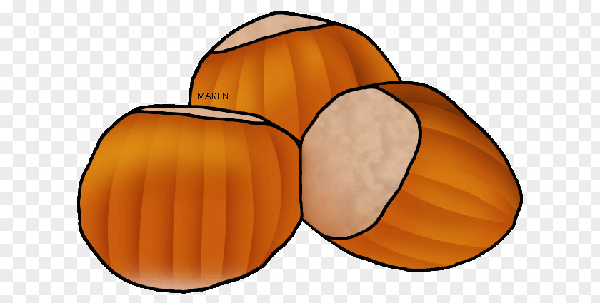 United States Hazelnut Tree Nut Allergy Clip Art PNG