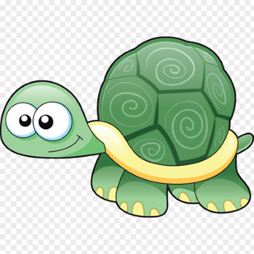 Cartoon Coupon Birthday E-card Turtle Gift Wish PNG