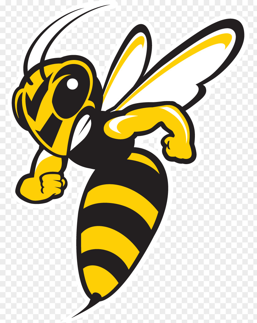 Creative Youth Baldwin Wallace University Yellow Jackets Men's Basketball Football John Carroll Ohio Athletic Conference PNG