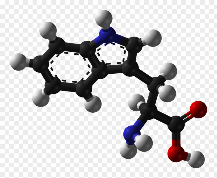 Tryptophan Amino Acid Phenylalanine Stereoisomerism PNG