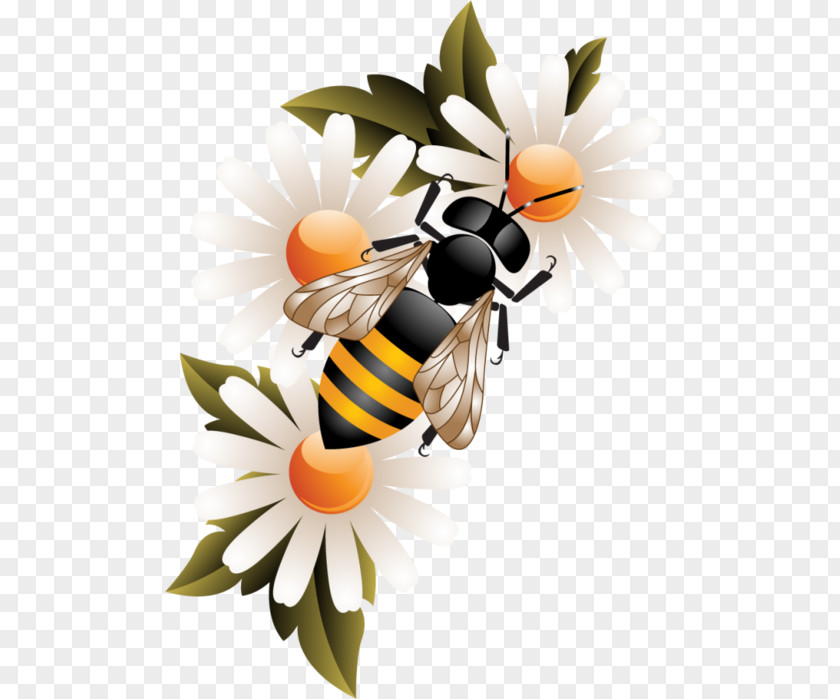 Bee Worker Honey Honeycomb PNG
