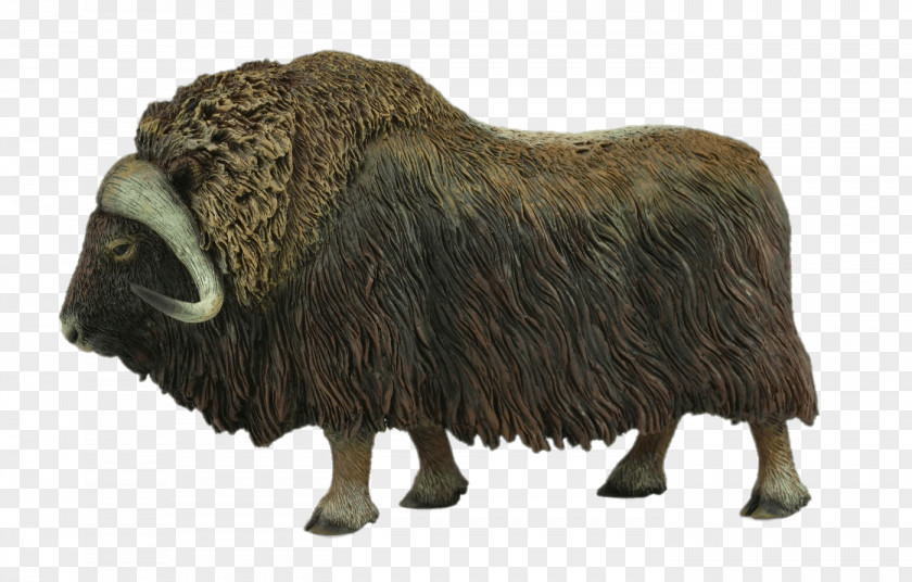 Bison Bull Cartoon Sheep PNG
