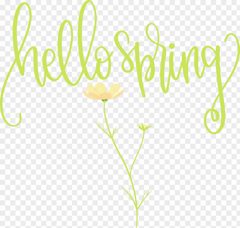 Floral Design PNG