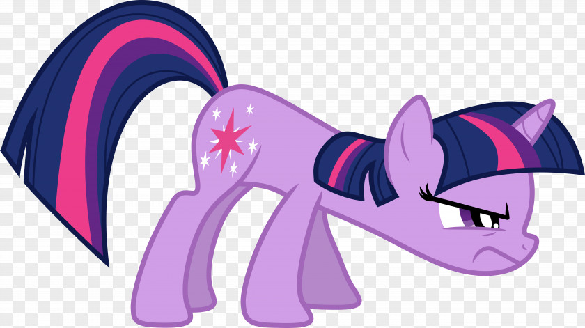 Maigc Pony Twilight Sparkle Winged Unicorn Rainbow Dash PNG