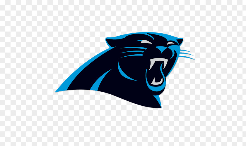 NFL 2018 Carolina Panthers Season 2017 Charlotte PNG