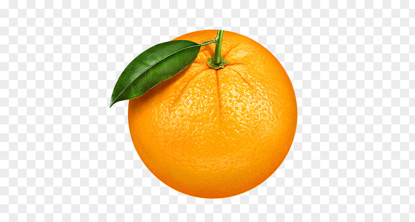 Orange Oranges Clementine Mandarin Fruit PNG