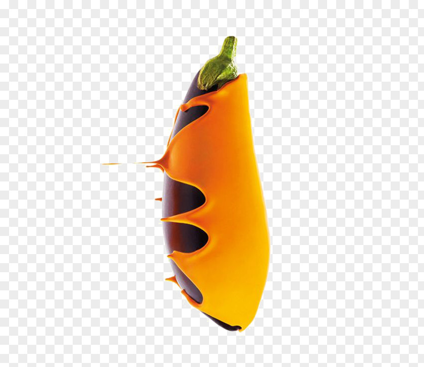 Purple Eggplant Stuffed Vegetable PNG