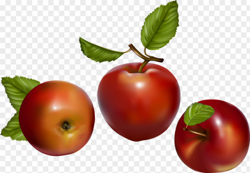 Tomato Apple Fruit Berry PNG