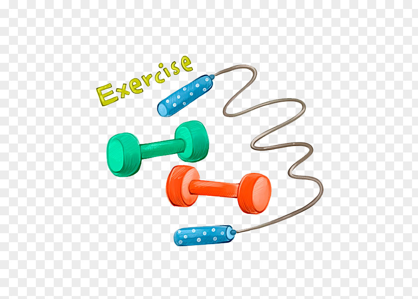 Dumbbells And Rope Skipping Dumbbell Physical Exercise PNG